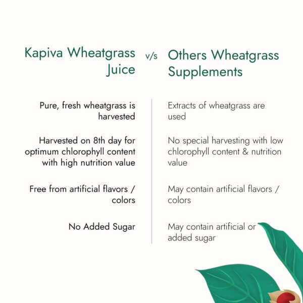 Kapiva Wheatgrass Juice 1L - Help's to Detoxify the Liver, Cleanse the Digestive System, Boost Metabolism & Purify Blood - Image 5